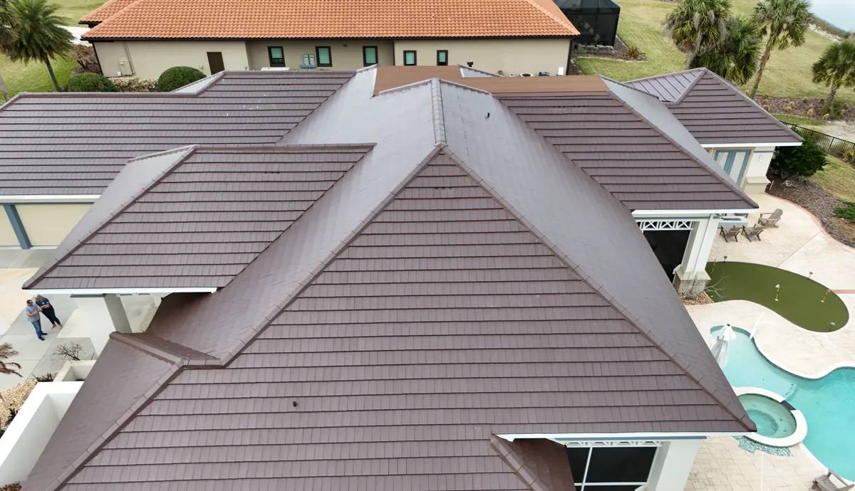Plasma Brown